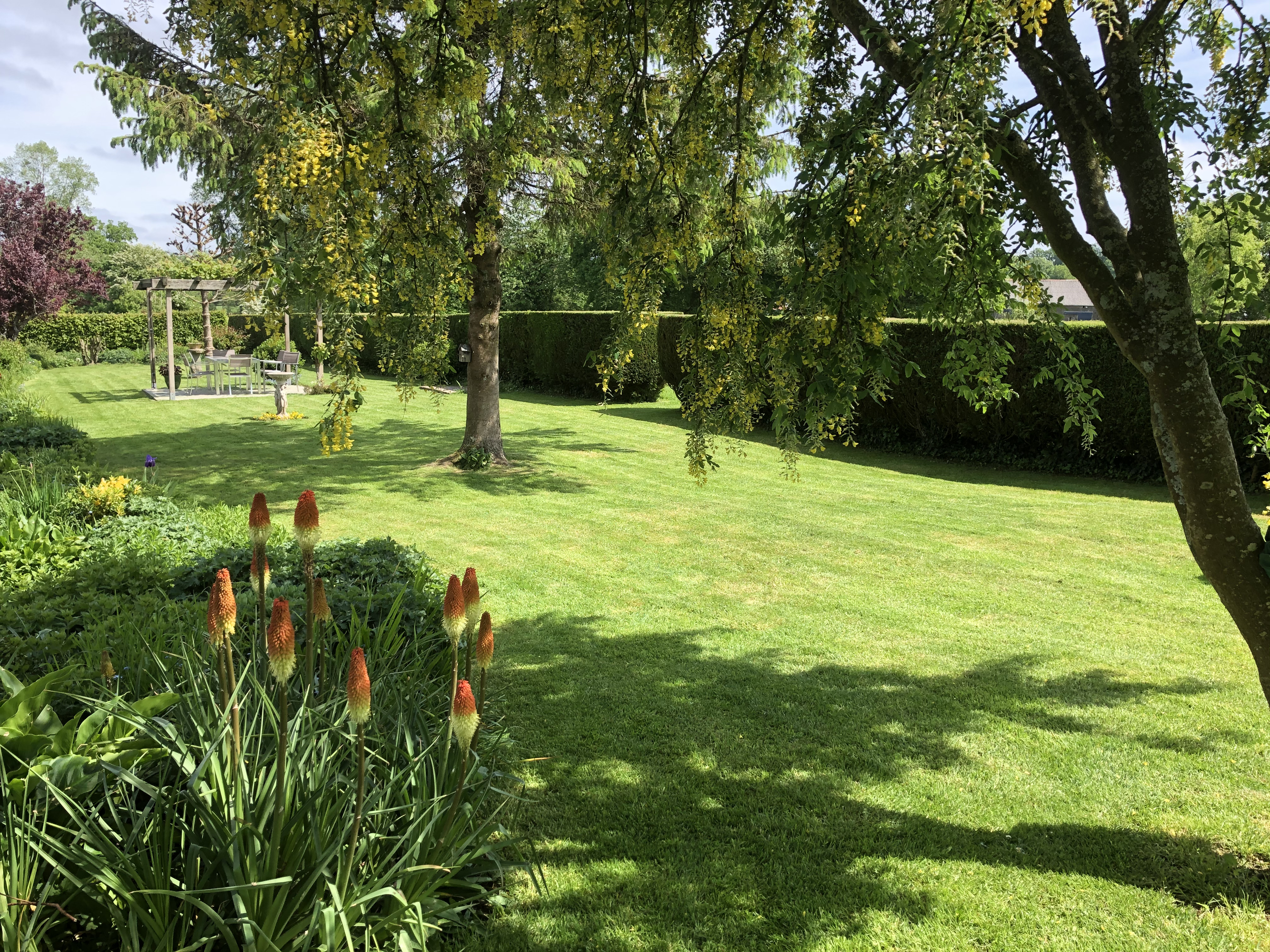 garden (2)