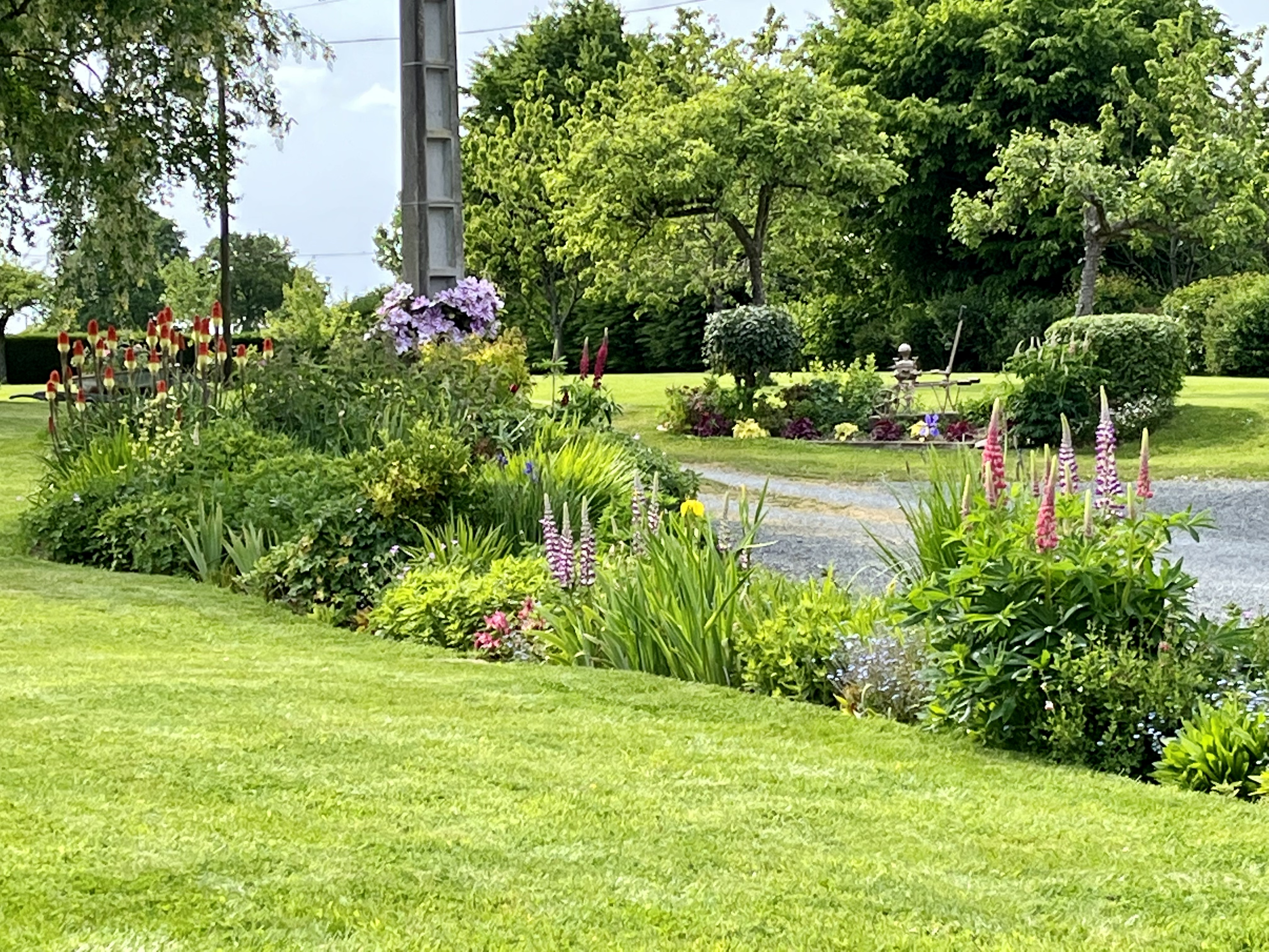 garden (3)